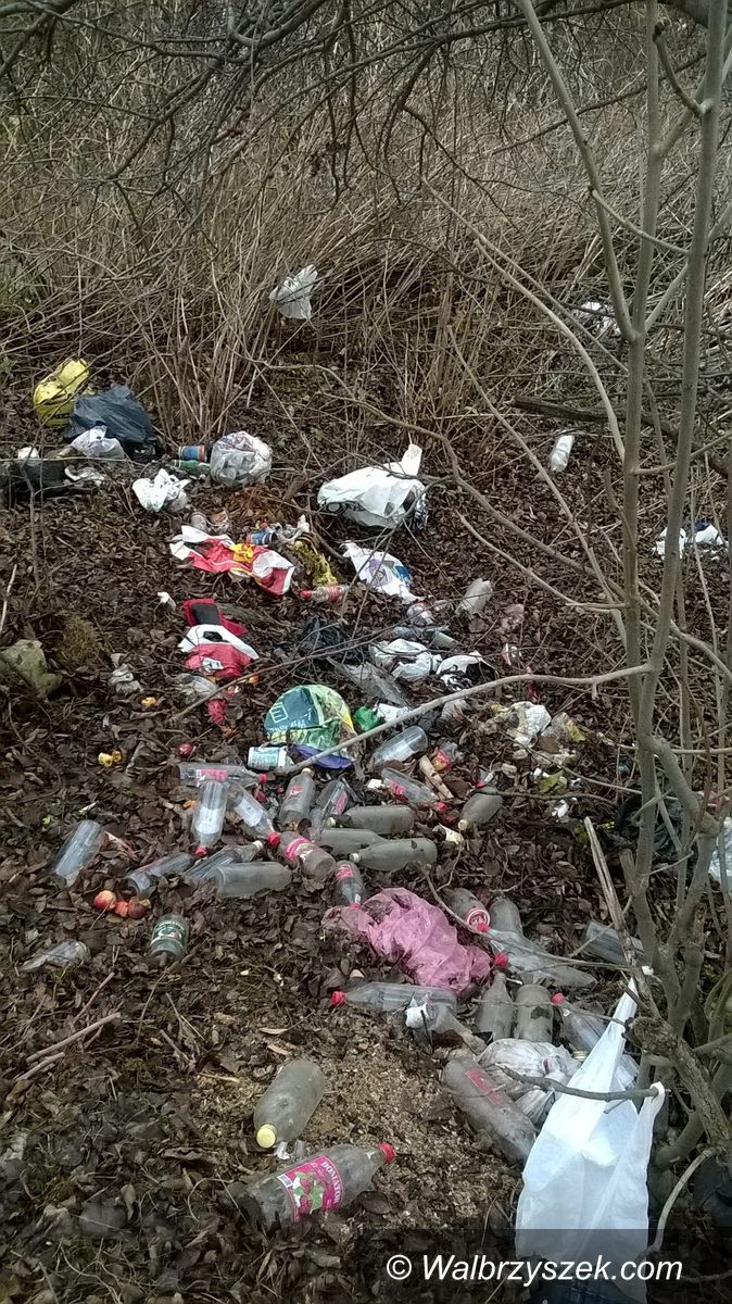 REGION, Szczawno Zdrój: Śmieciowy problem