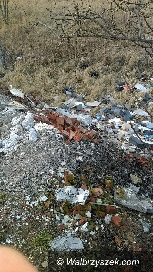 Wałbrzych: Śmieci, azbest w centrum Piaskowej Góry