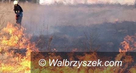 REGION: Strażacy przestrzegają przed wypalaniem traw