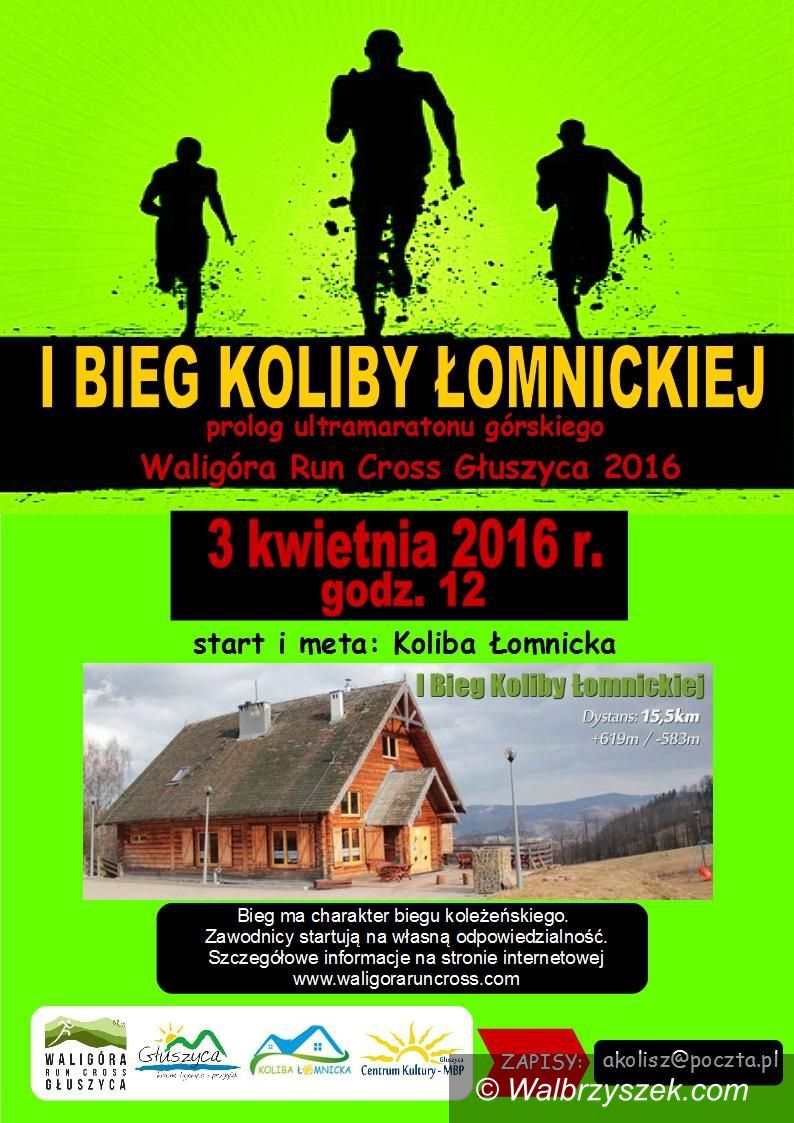 Łomnica: I Bieg Koliby Łomnickiej – Prolog WRC Głuszyca
