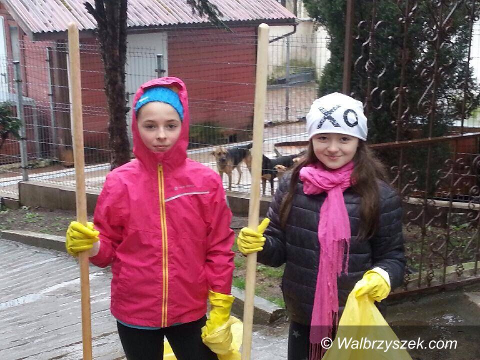 Wałbrzych: Młodzi wolontariusze sprzątali teren wokół schroniska
