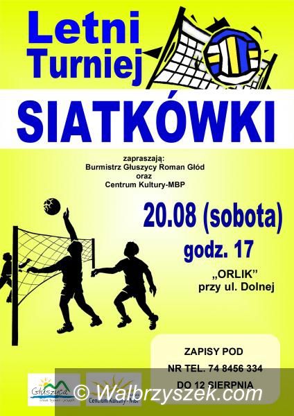 Głuszyca: Letni turniej siatkówki