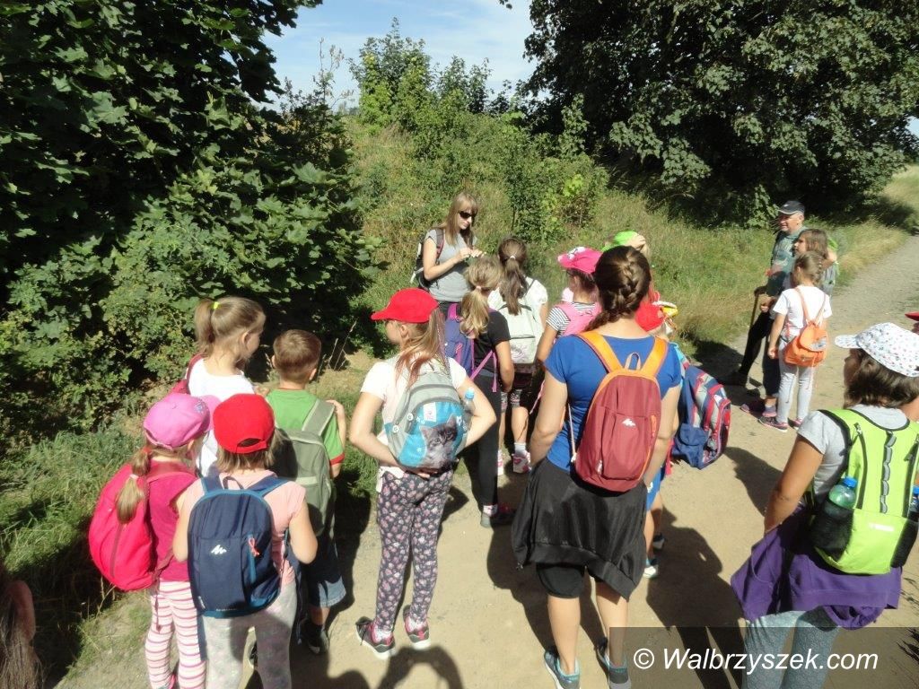 Wałbrzych: Edukacyjne wakacje w OSK
