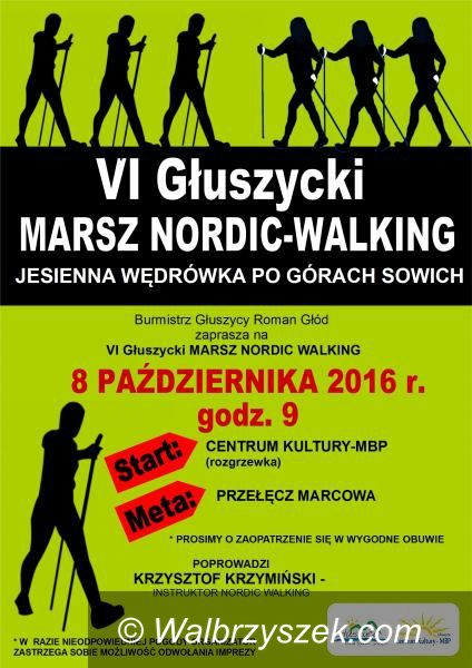 Głuszyca: Przed nami VI Głuszycki Marsz Nordic–Walking