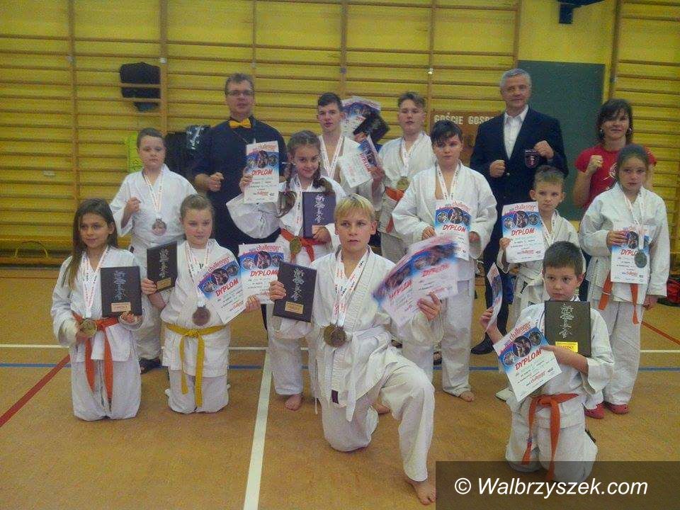 Wałbrzych: Karatecy UKKS "OBI" wracają z 17 medalami z Opola