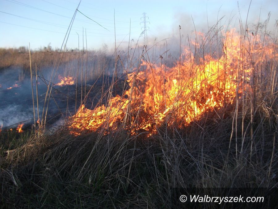 Wałbrzych/REGION: Nadchodzi czas wiosennego wypalania traw