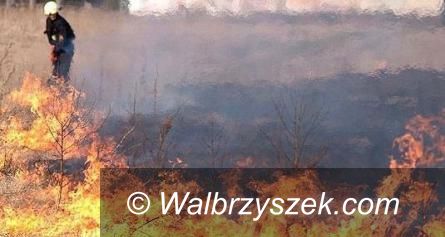 Wałbrzych/powiat wałbrzyski: Stop wypalaniu traw!