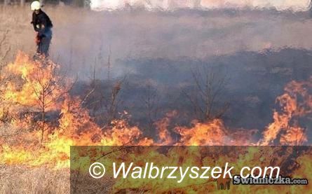 powiat wałbrzyski: Kolejne bezmyślne przypadki wypalania traw