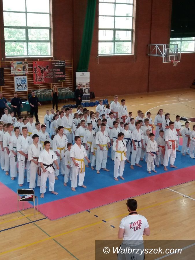 Legnica: Kolejny sukces karateków z Wałbrzycha