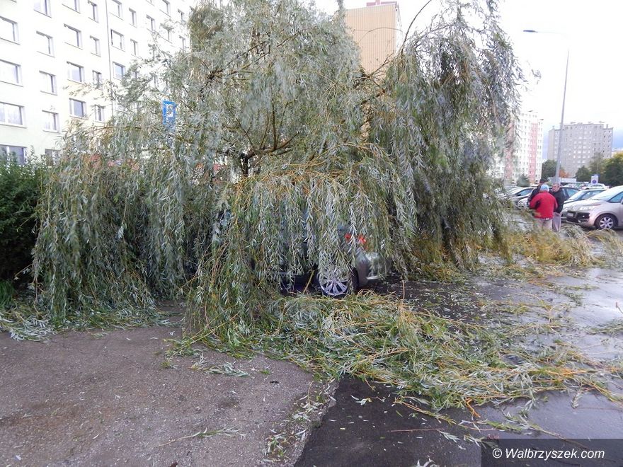 Wałbrzych/REGION: Wichura łamała drzewa jak zapałki
