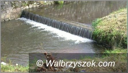Wałbrzych/Szczawno-Zdrój: Ryby będą pływać w Szczawniku