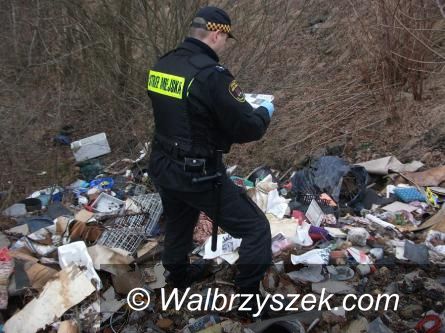 Wałbrzych: Jeśli w Wałbrzychu nie poprawi się segregacja odpadów, czekają nas podwyżki