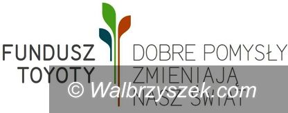 Wałbrzych/powiat wałbrzyski: Laureaci VIII edycji konkursu Fundusz Toyoty 2018