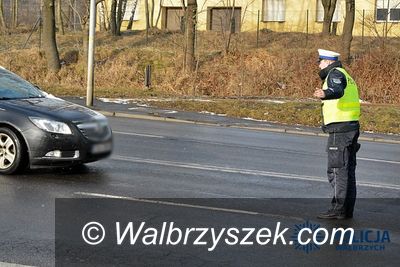 Wałbrzych/powiat wałbrzyski: Bez uprawnień za kierownicą