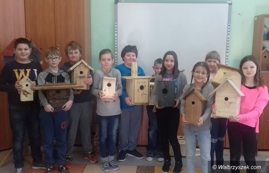 REGION, Szczawno-Zdrój: Szczawieńscy uczniowie pomagają ptakom