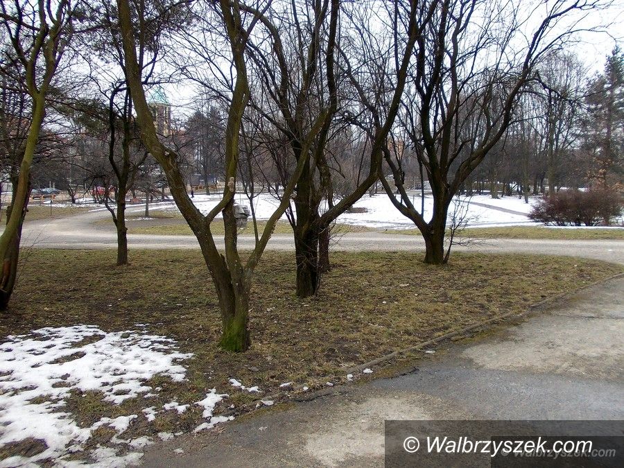 Wałbrzych: Park Sybiraków zostanie zrewitalizowany, ale w dalszej kolejności