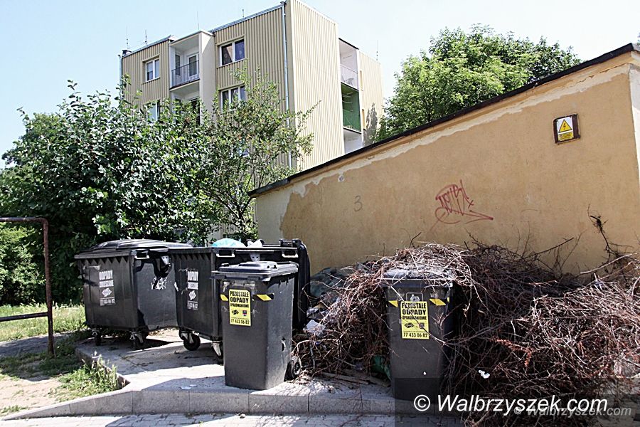 Wałbrzych: Kto posprząta śmieci na ulicy Westerplatte?