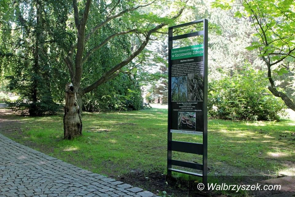REGION, Szczawno-Zdrój: W Parku Szwedzkim powstała ścieżka edukacyjno–ekologiczna