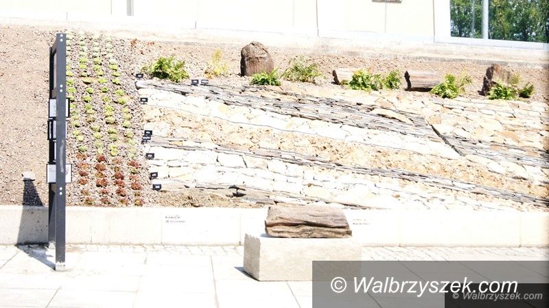 Wałbrzych: Ostatnie szlify przed otwarciem Geo–ogródka w Starej Kopalni