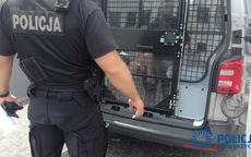 Wałbrzych: Policjanci zatrzymali sprawcę wielu kradzieży marketowych