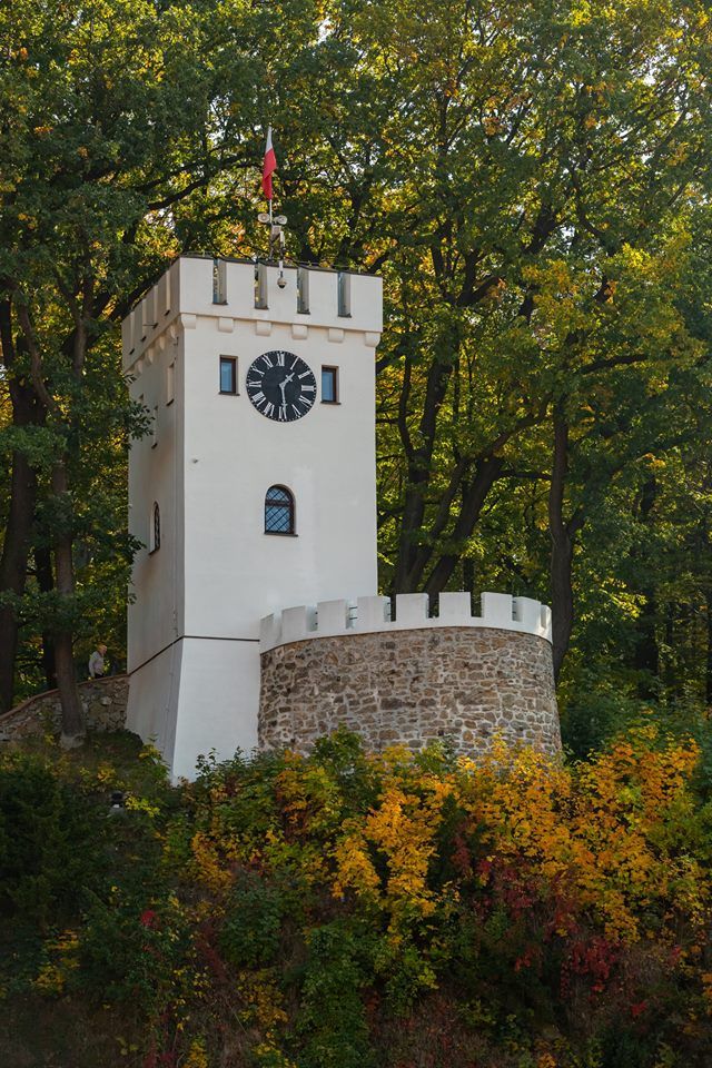 REGION, Szczawno-Zdrój: Wylicytował Wieżę Annę dla swojej małżonki