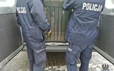 Wałbrzych: Kolejny złodziej w rękach policjantów