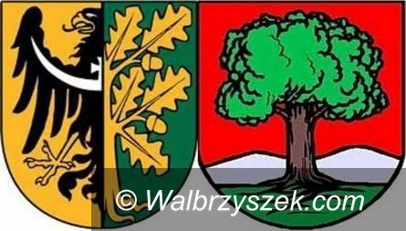 Wałbrzych/powiat wałbrzyski: Sprawdziliśmy poziom przestępczości w Wałbrzychu i w gminach powiatu wałbrzyskiego