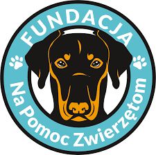 powiat wałbrzyski: Fundacja "Na Pomoc Zwierzętom" instruuje, jak pomóc poszkodowanym czworonogom