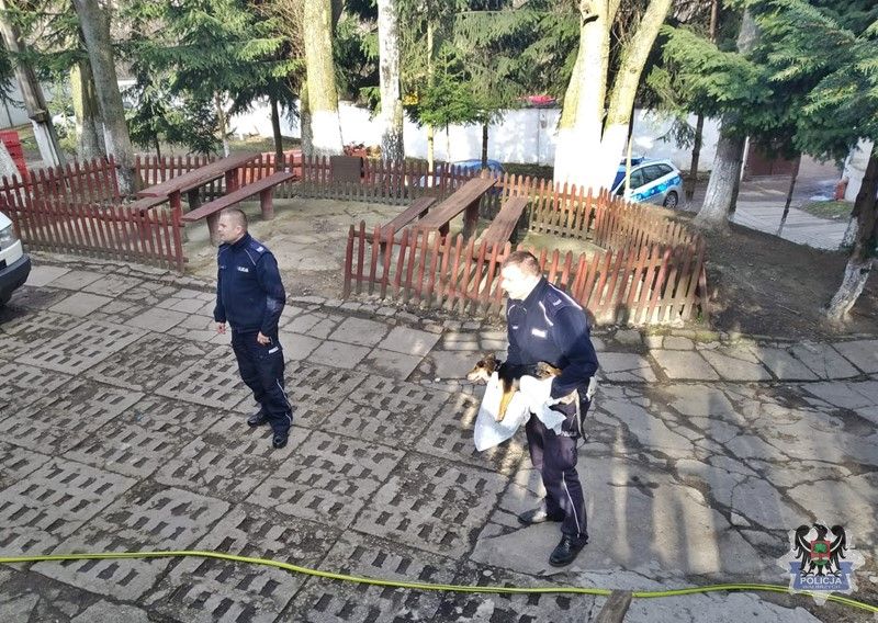 Wałbrzych: Policjanci ruchu drogowego uratowali psa prawdopodobnie potrąconego przez samochód