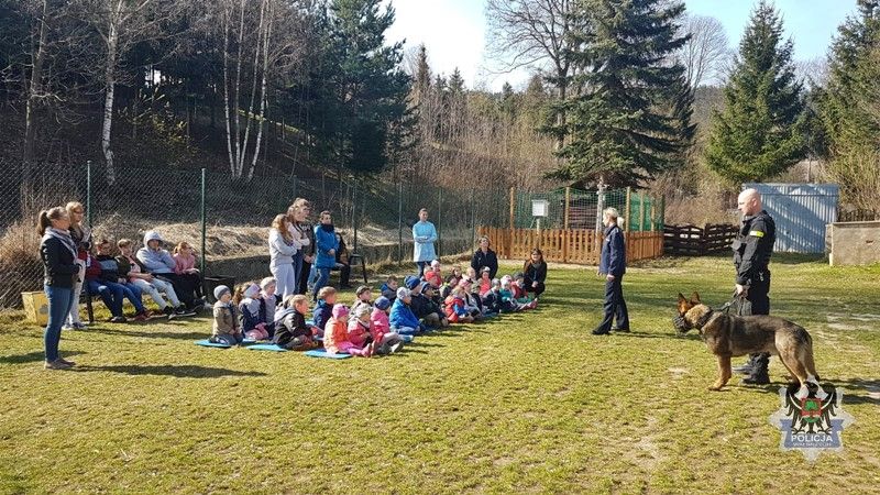 Wałbrzych/powiat wałbrzyski: Przewodnicy psów spotkali się z dziećmi