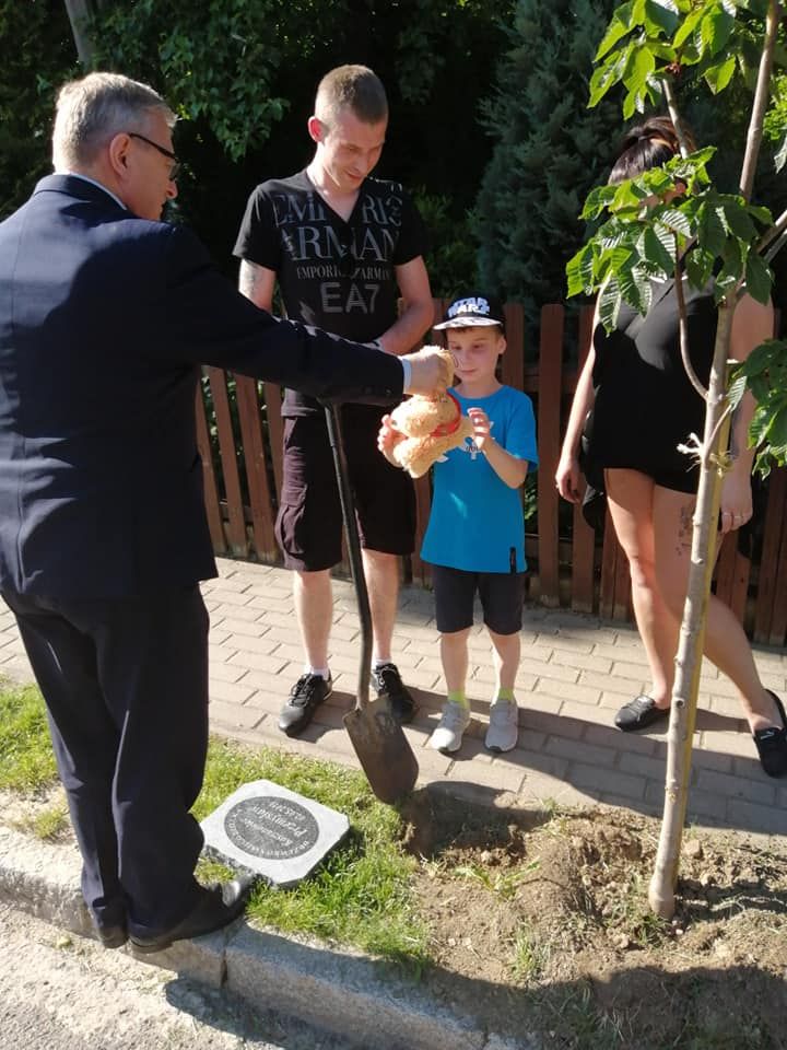 REGION, Szczawno-Zdrój: Drzewko naszego dziecka
