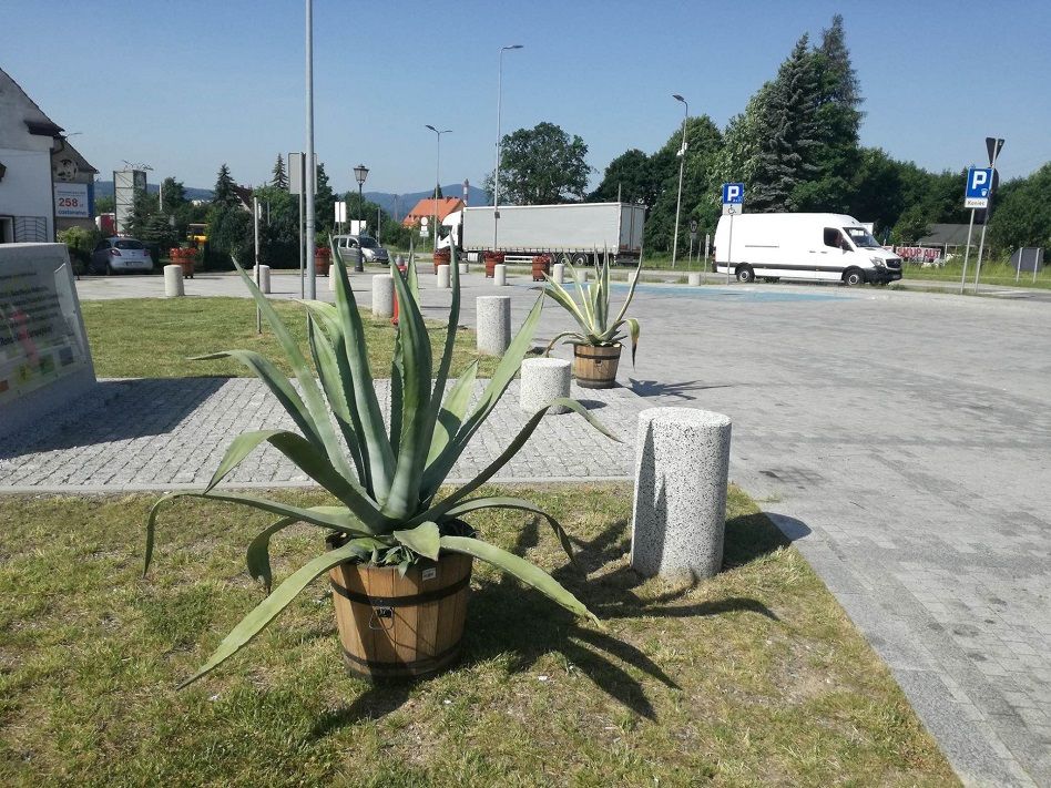 REGION, Szczawno-Zdrój: Tropikalnie na szczawieńskim deptaku