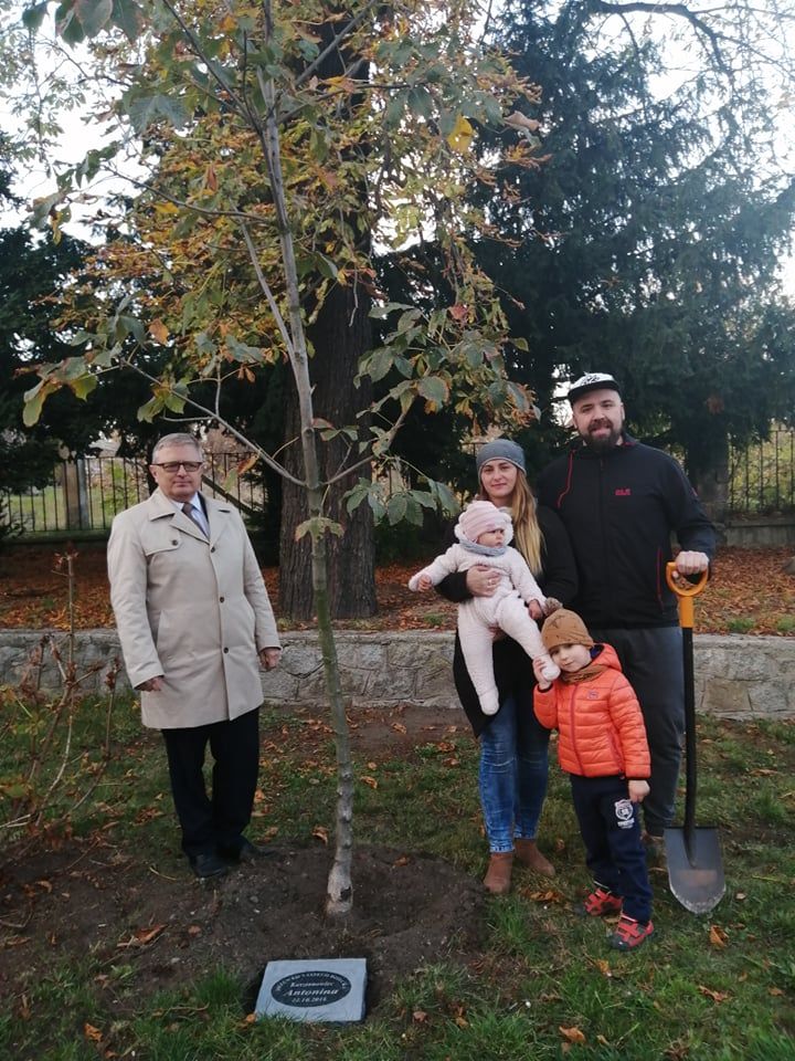 REGION, Szczawno-Zdrój: Drzewka dzieci
