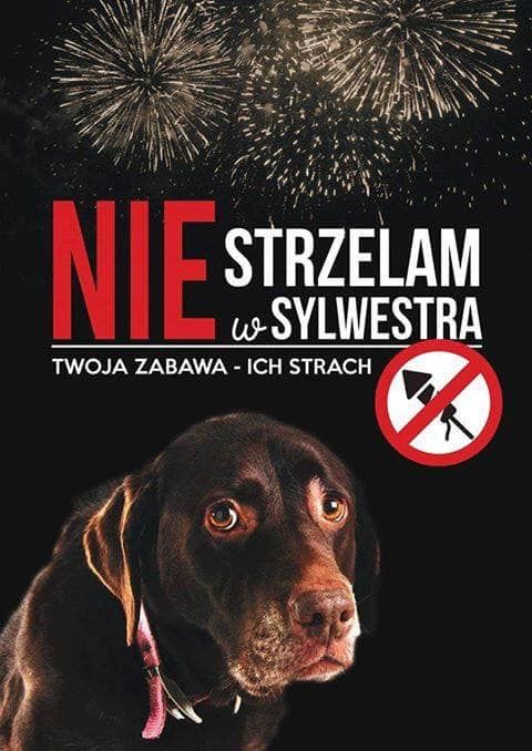 Wałbrzych/powiat wałbrzyski: Sylwester bez fajerwerków