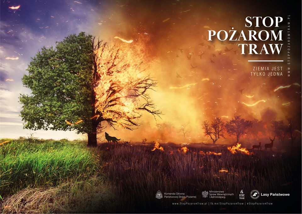 Wałbrzych/REGION: Stop pożarom traw!