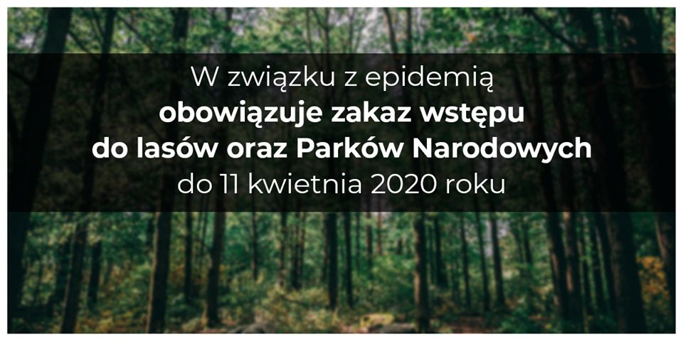 Wałbrzych/REGION: Zakaz wstępu do lasów