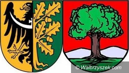 Wałbrzych/REGION: Przedszkolne dylematy