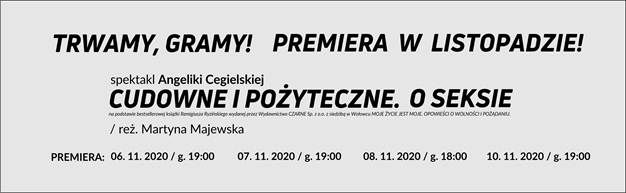 Wałbrzych: Premiera w Szaniawskim