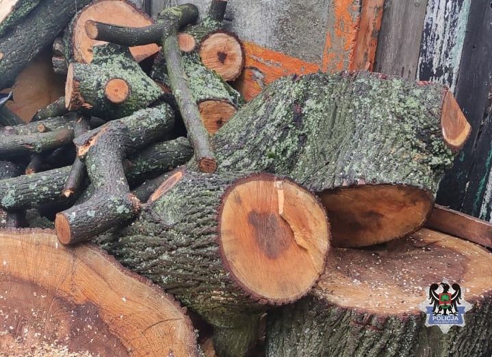 REGION, Boguszów-Gorce: Drewno ukradł ze szkoły