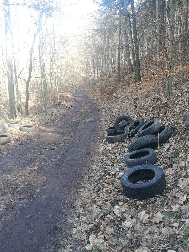 Wałbrzych/REGION: Śmieci w lesie