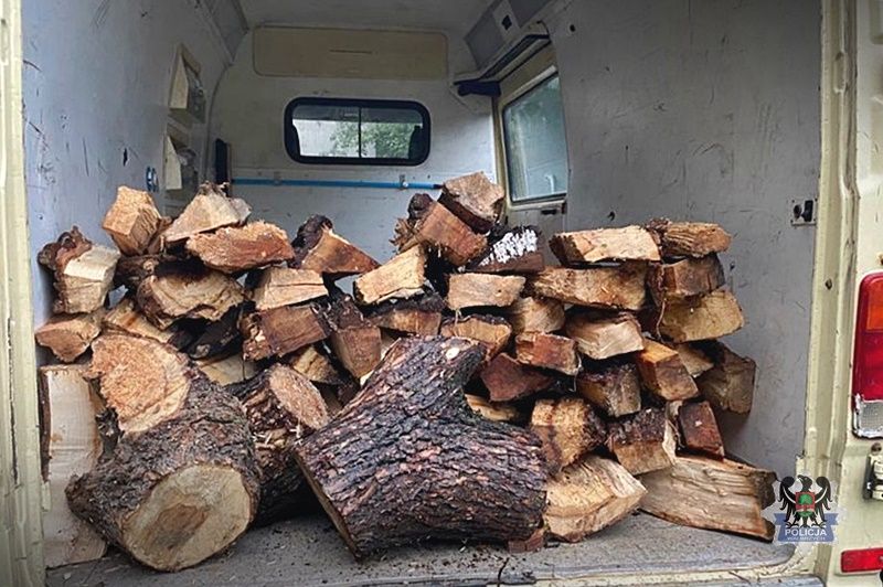 Wałbrzych: Gromadził drewno na zimę