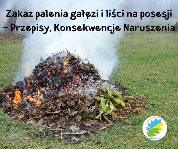 Wałbrzych/Kraj: Gałęzi i liści nie wolno spalać
