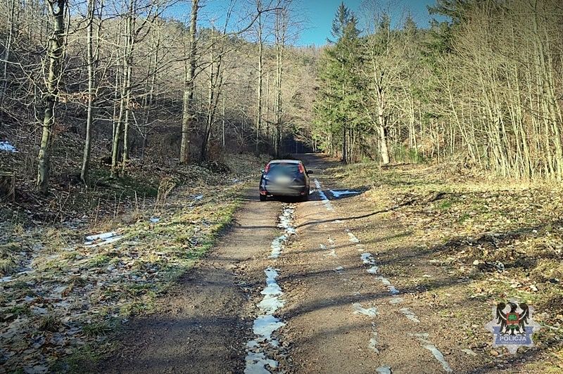 Wałbrzych/REGION: Samochód porzucił w lesie