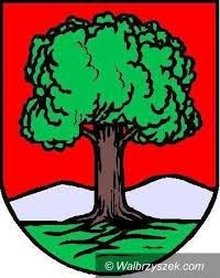 Wałbrzych: KO ma większość w Radzie Miasta
