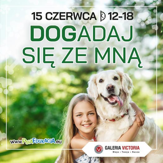 Wałbrzych: Dogadaj się z psem