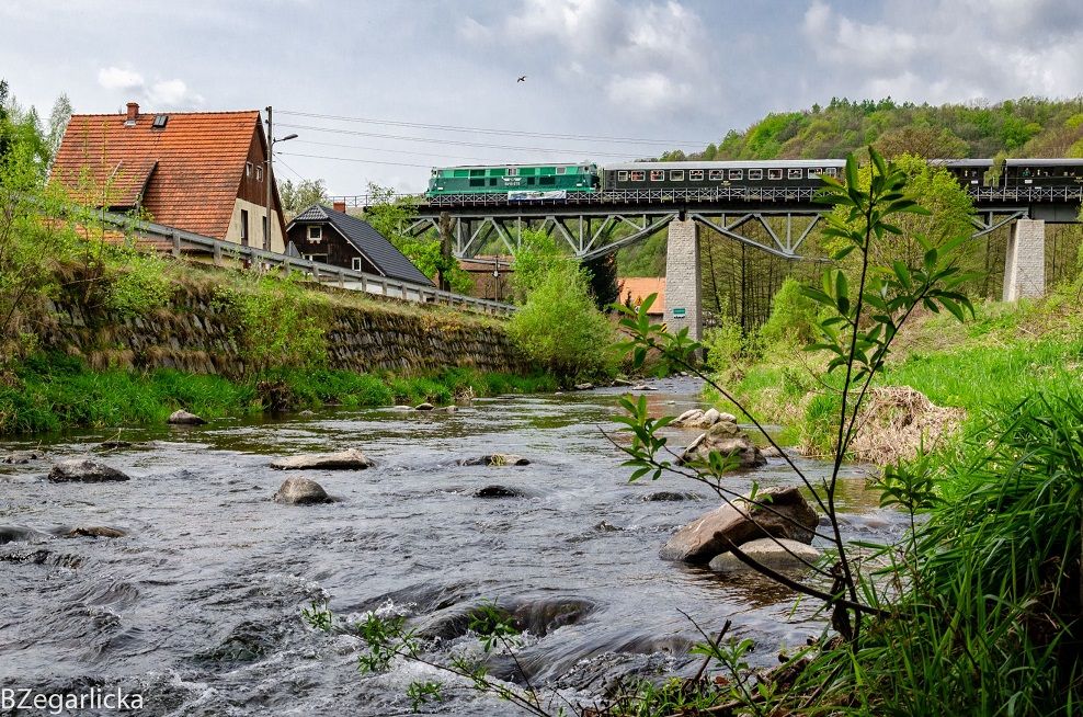 REGION: Pociągiem w Góry Sowie i do Mieroszowa