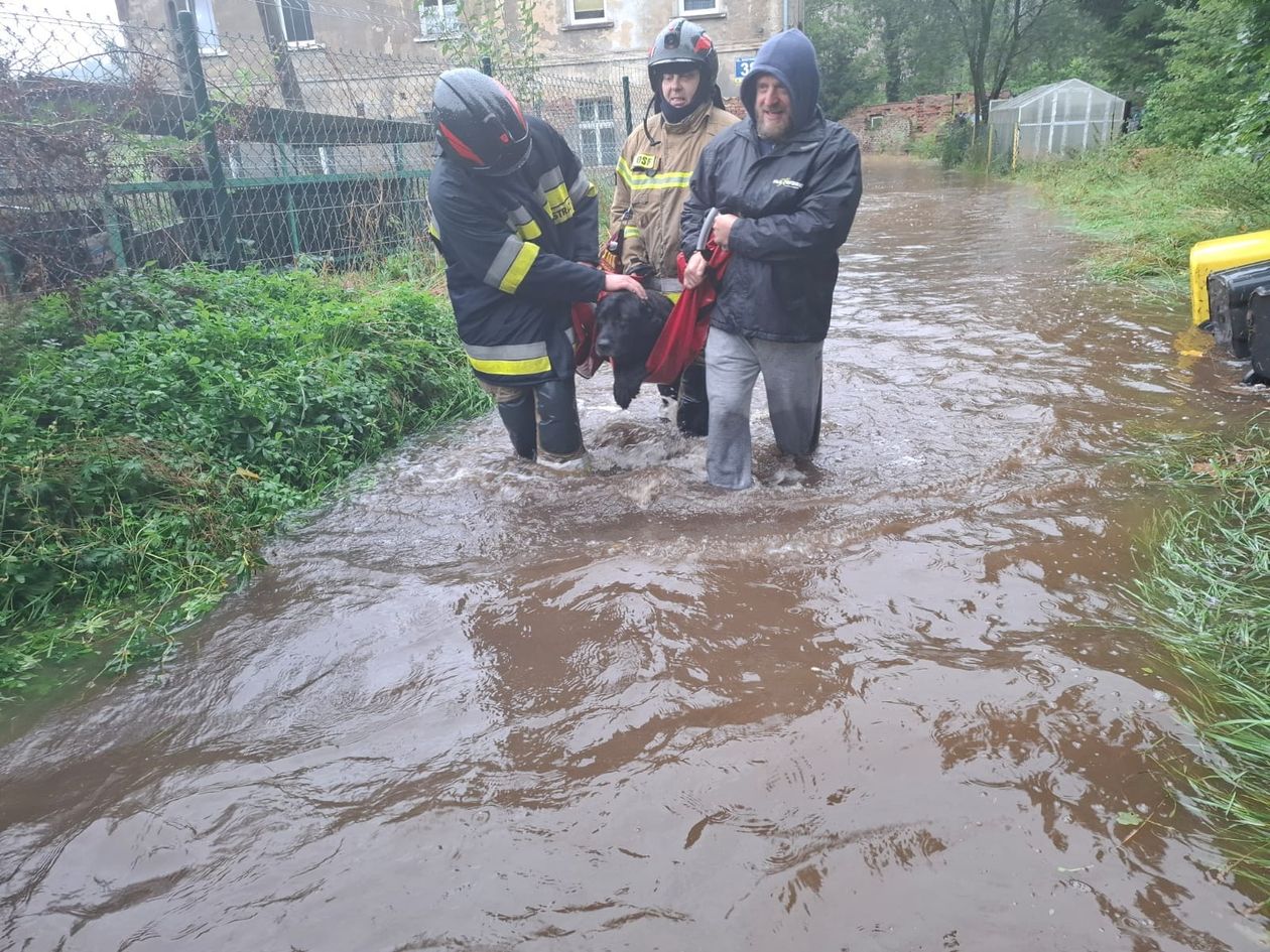 REGION, Boguszów-Gorce: Heroiczna walka o ratowanie dobytku