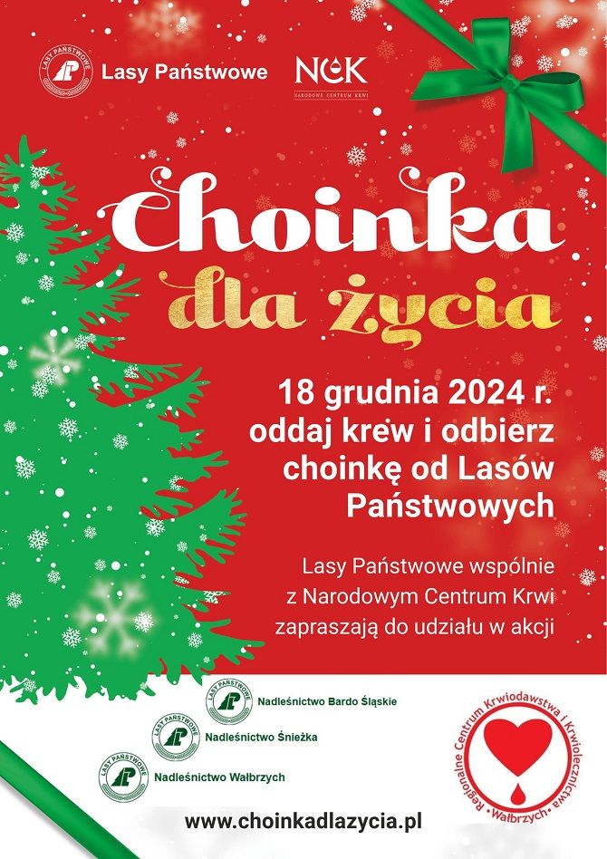 Wałbrzych/REGION: Akcja "Choinka dla życia"