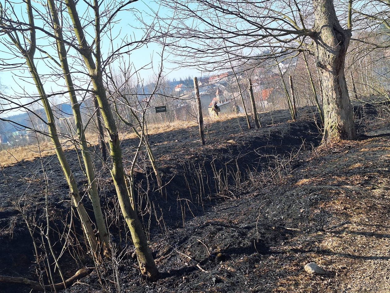 Wałbrzych/REGION: Plaga pożarów traw