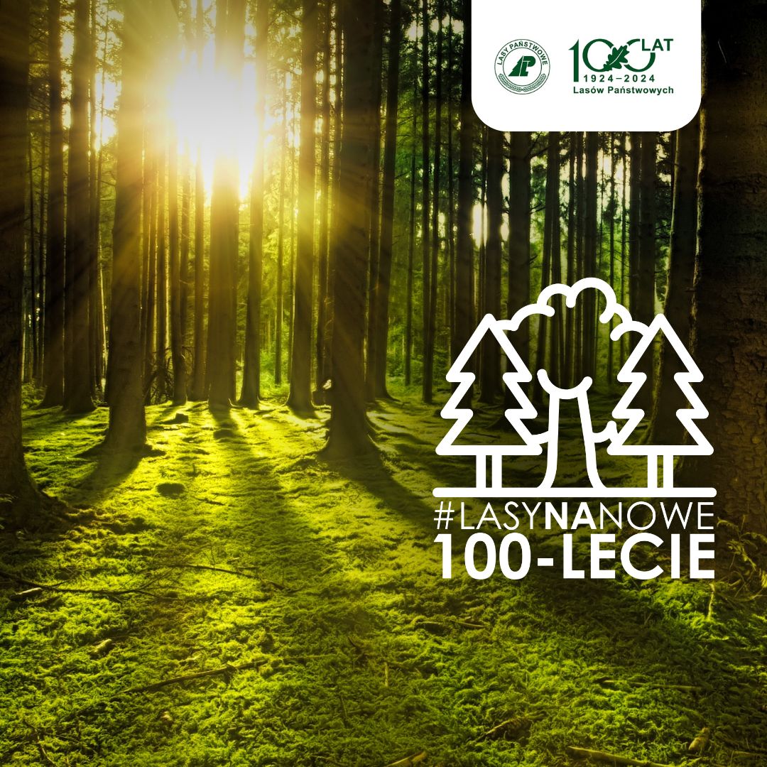 REGION, Stare Bogaczowice: Lasy na nowe 100–lecie